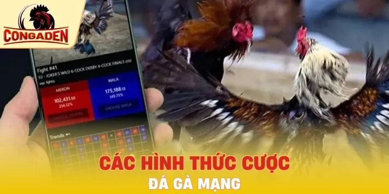 Các hình thức cược phổ biến nhất hiện nay