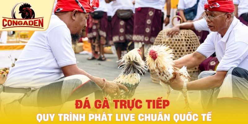 Quy trình phát live chuẩn quốc tế