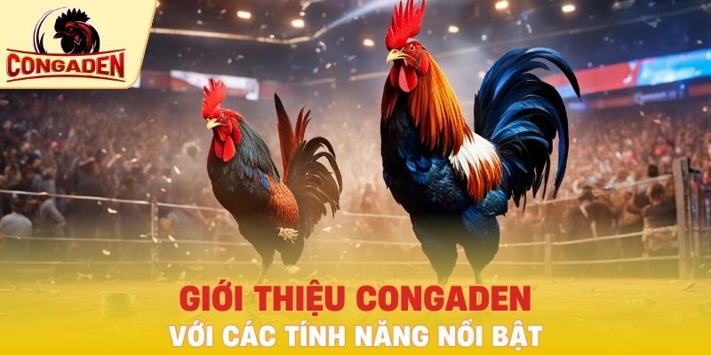 Giới thiệu Congaden với các tính năng nổi bật