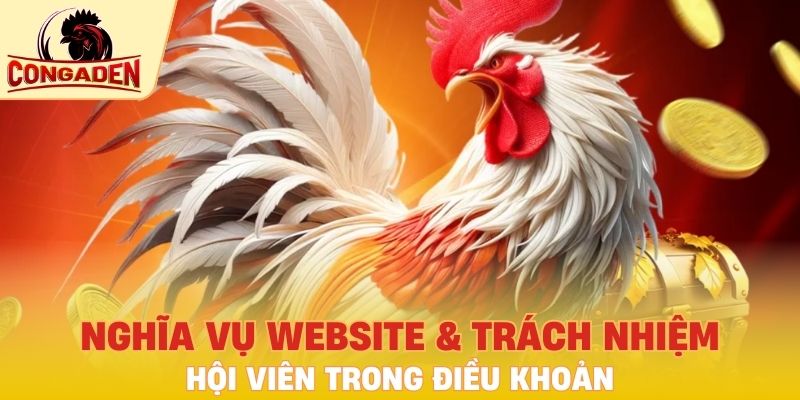 Nghĩa vụ website & trách nhiệm hội viên trong điều khoản