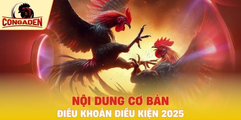 Nội dung cơ bản điều khoản điều kiện 2025