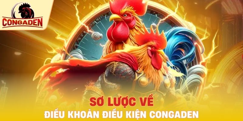 Sơ lược về điều khoản điều kiện Congaden