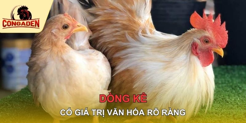 Dòng kê có giá trị văn hóa rõ ràng