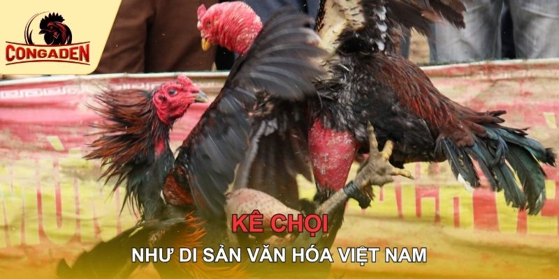 Kê chọi như di sản văn hóa Việt Nam