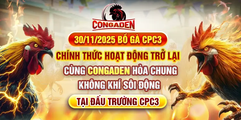 Bồ Gà CPC3 hoạt động trở lại